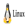 Client Name